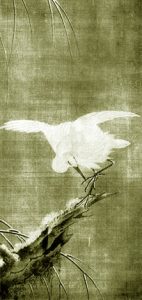 crane