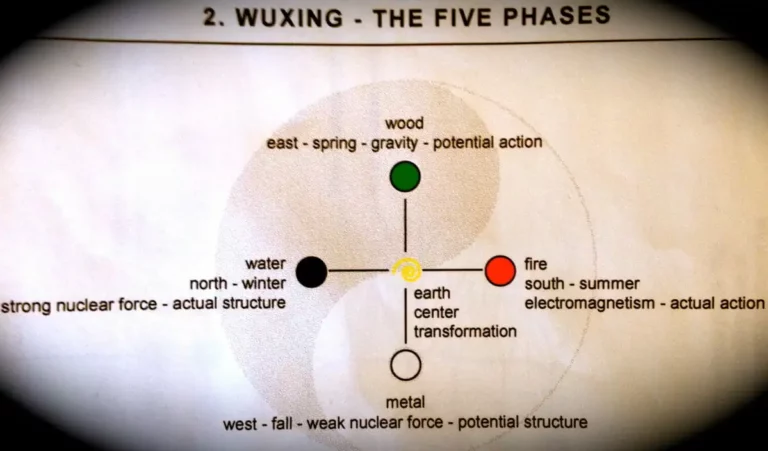 The Science of Chinese Medicine