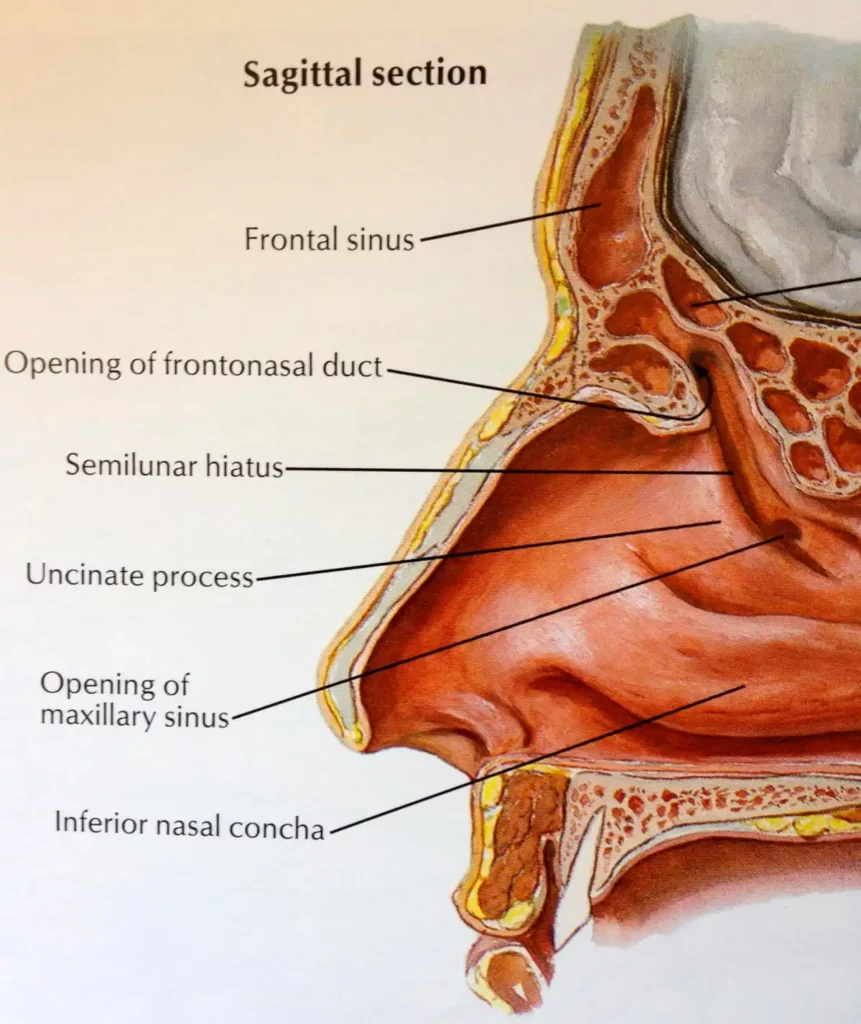 Acupuncture for Nasal Allergies