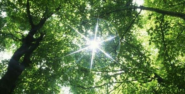 Energetic Medicine in Asheville…