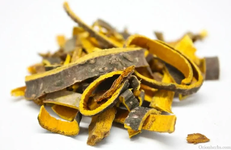 Chinese Medicine and Antibiotics