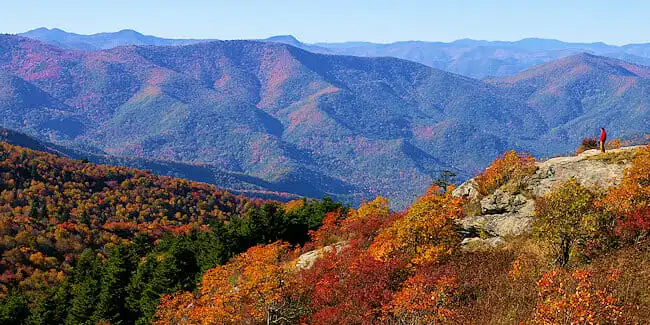 The Fall and Chinese Medicine