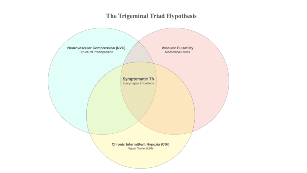 The Trigeminal Triad hypothesis by James C. Whittle showing neurovascular compression, vascular pulsatility, and chronic intermittent hypoxia as contributing domains in trigeminal neuralgia